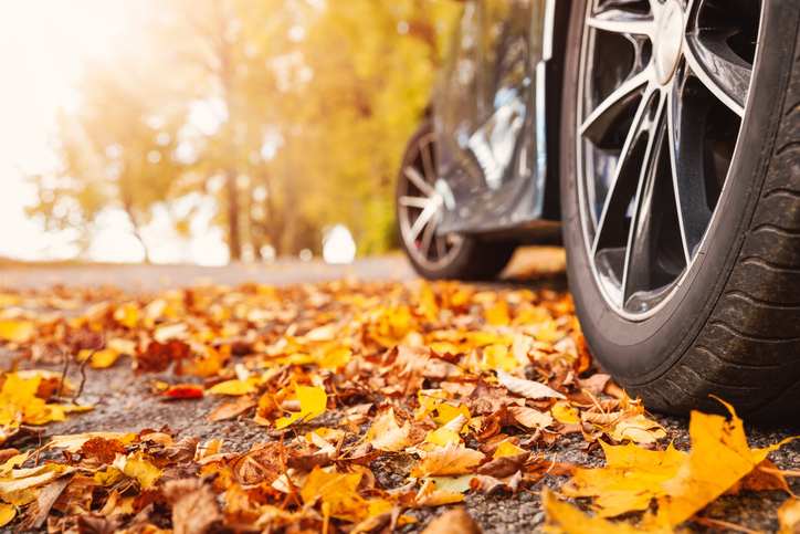 Colored leaves lying under the wheels of the car on an asphalt road on an autumn day.
