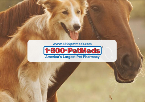 1800petmeds