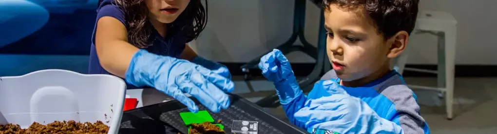The Tech Interactive