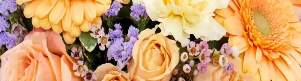 colorful flowers