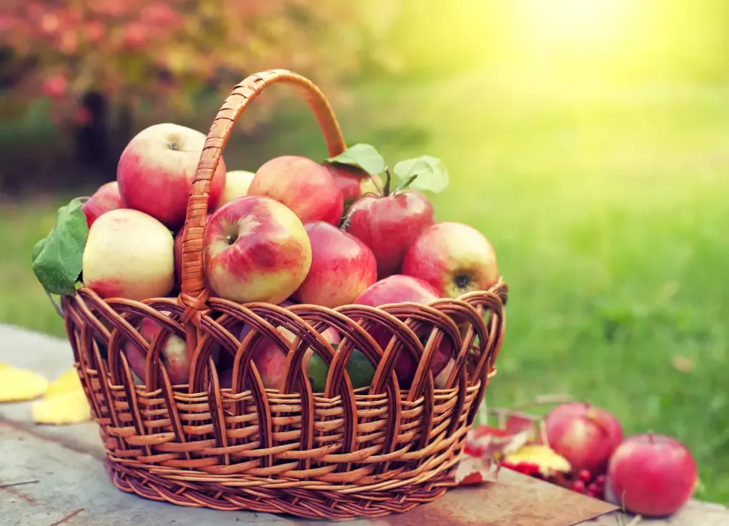 fresh fruit basket
