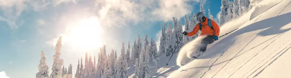 WeSalute+ (VetRewards) Ski Tickets