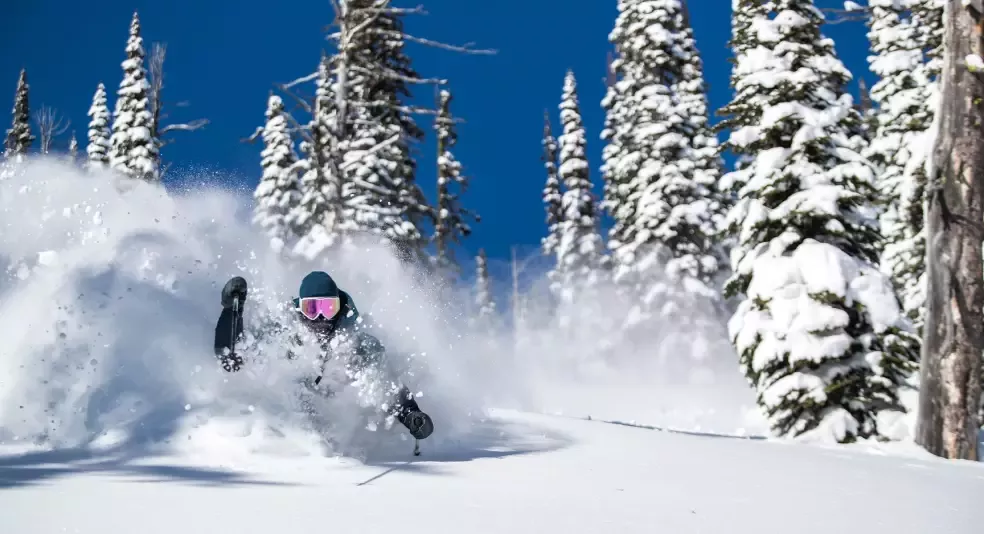 Liberty Skis hero