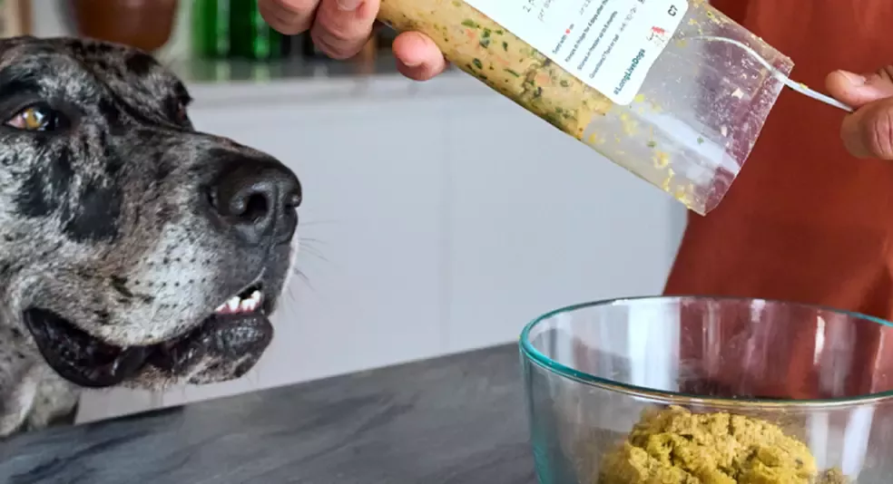 The Farmer’s Dog Hero