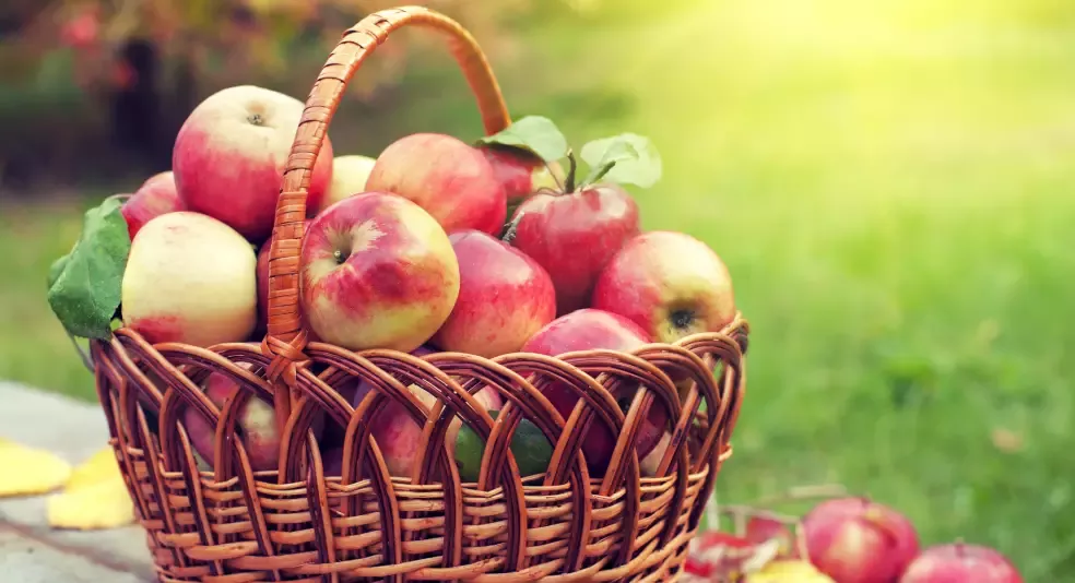 fresh fruit basket
