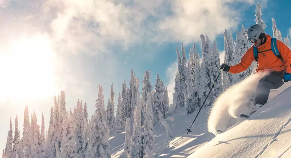 WeSalute+ (VetRewards) Ski Tickets