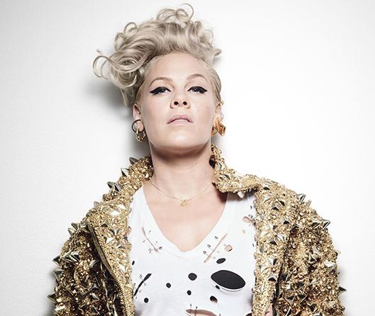 Singer Pink, daughter of Vietnam veteran