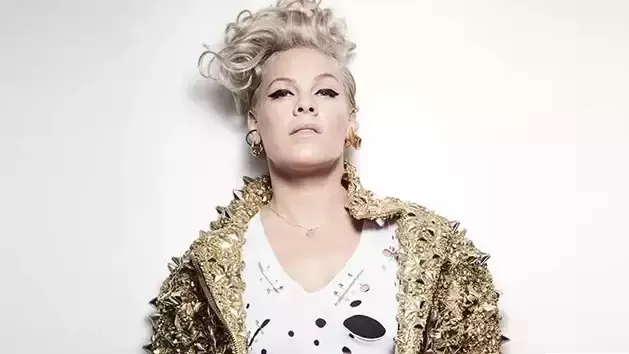 Singer Pink, daughter of Vietnam veteran