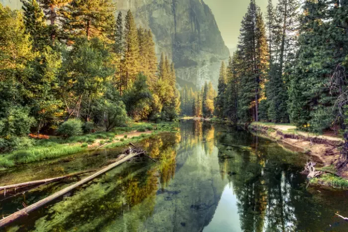 nature