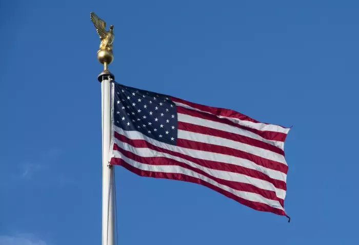 Veterans Day US flag