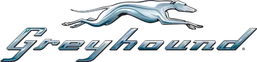 Greyhound