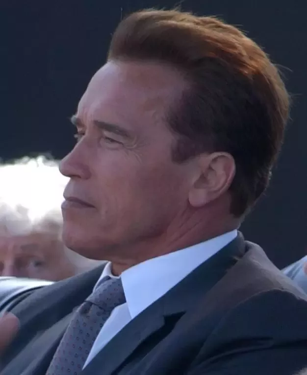 Gov. Arnold Schwarzenegger