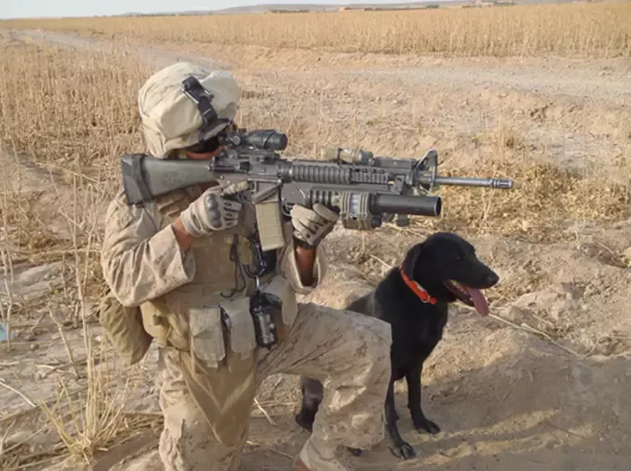Marine Captain Jason Haag and his service dog