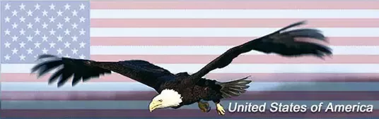 Eagle Flag