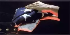 Flag Burial Presentation