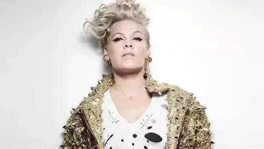 Singer Pink, daughter of Vietnam veteran