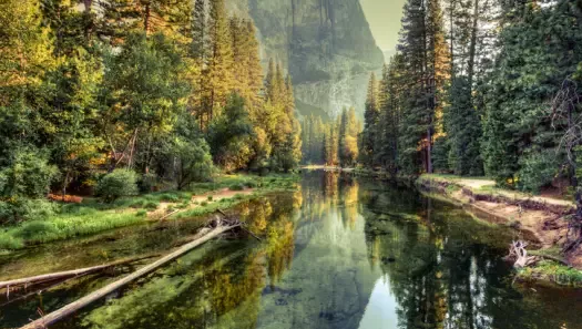 nature