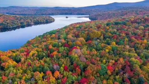 colorful foliage