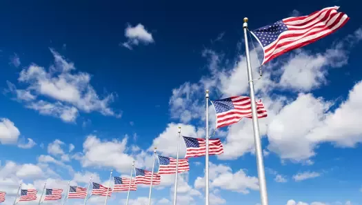 USA flags