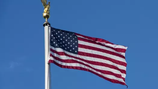 Veterans Day US flag
