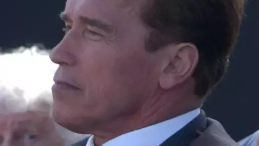 Gov. Arnold Schwarzenegger
