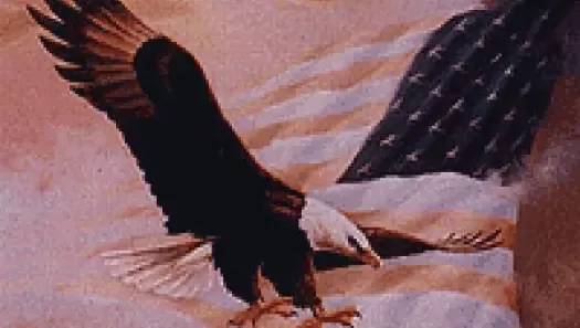 Bald Eagle In Flight