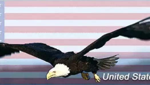 Eagle Flag