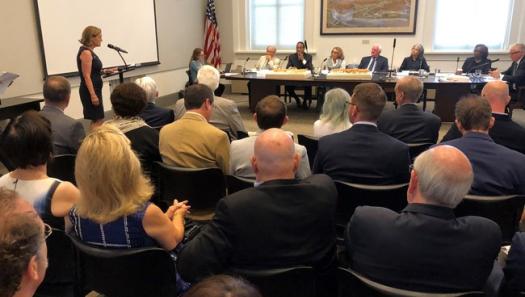 U.S. WWI Centennial Commissioner Dr. Libby O'Connell addresses Commission of Fine Arts (CFA) regarding WWI Memorial design. The CFA gave unanimous approval on design.