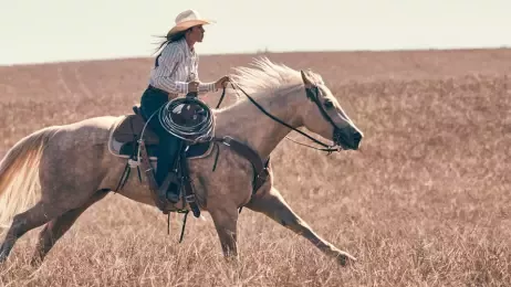 Wrangler