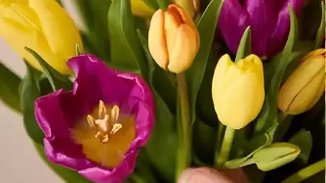 flower arrangement